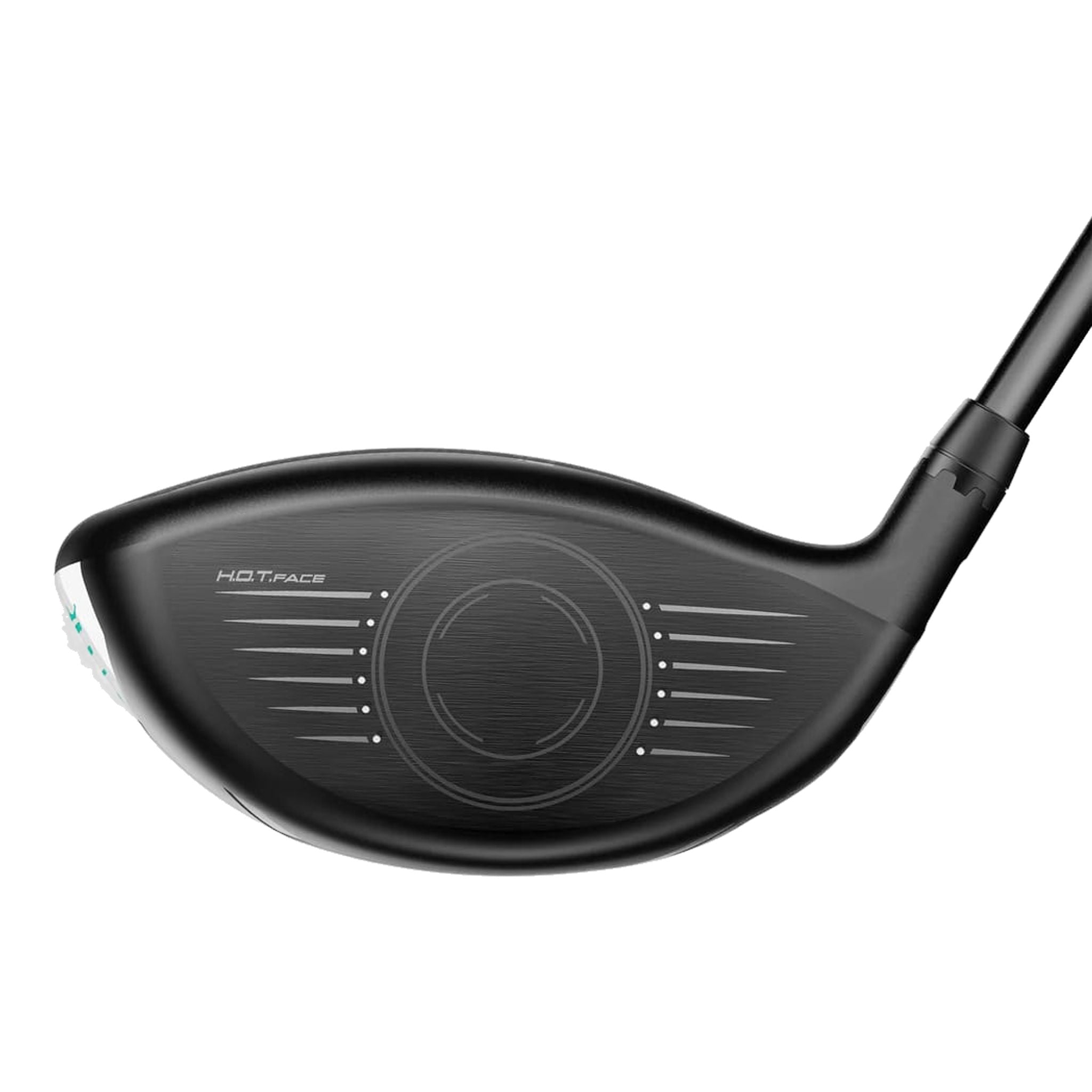 Cobra Aerojet PALM TREE CREW Driver Herren