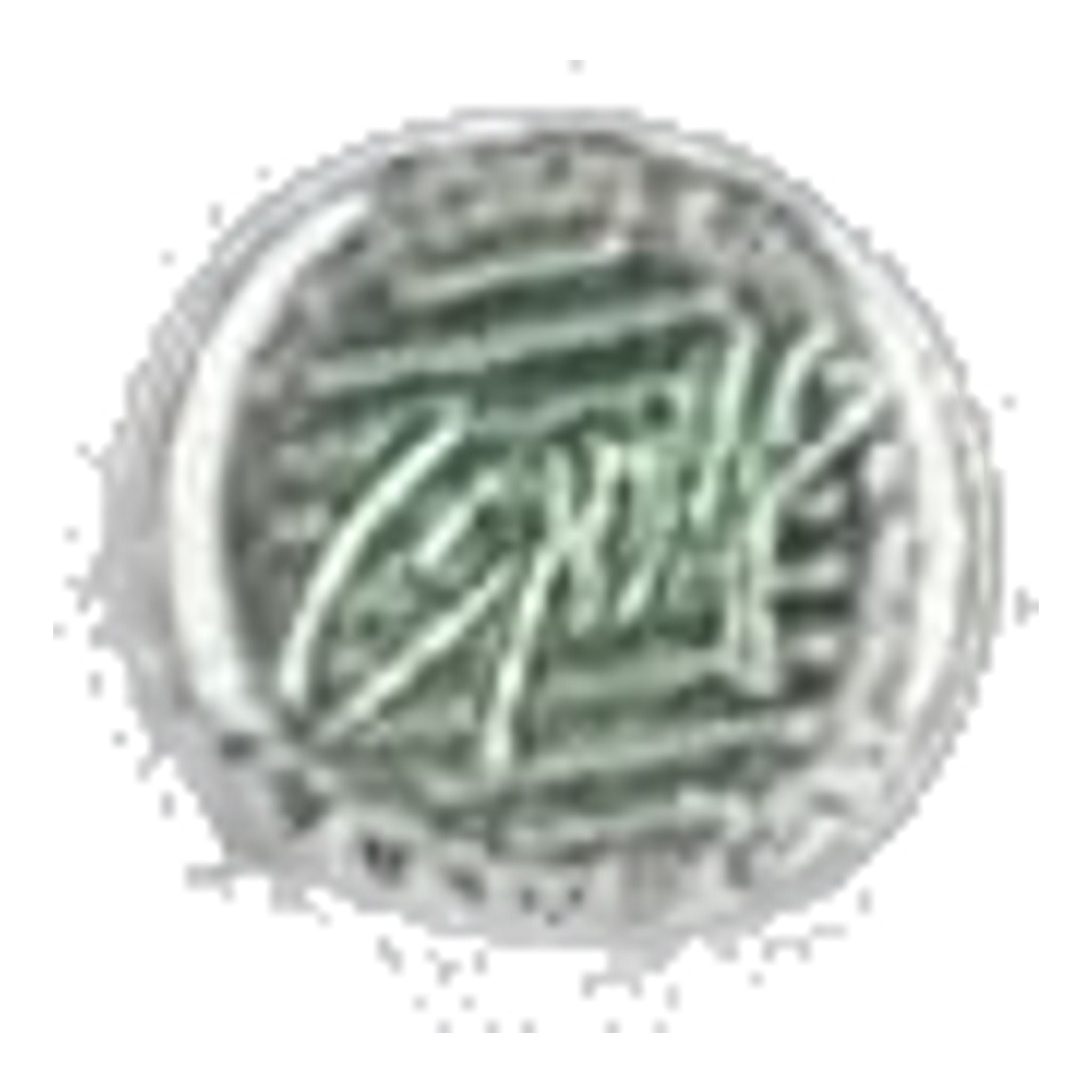 Alberto ROOKIE Smart Check Golfhose Herren