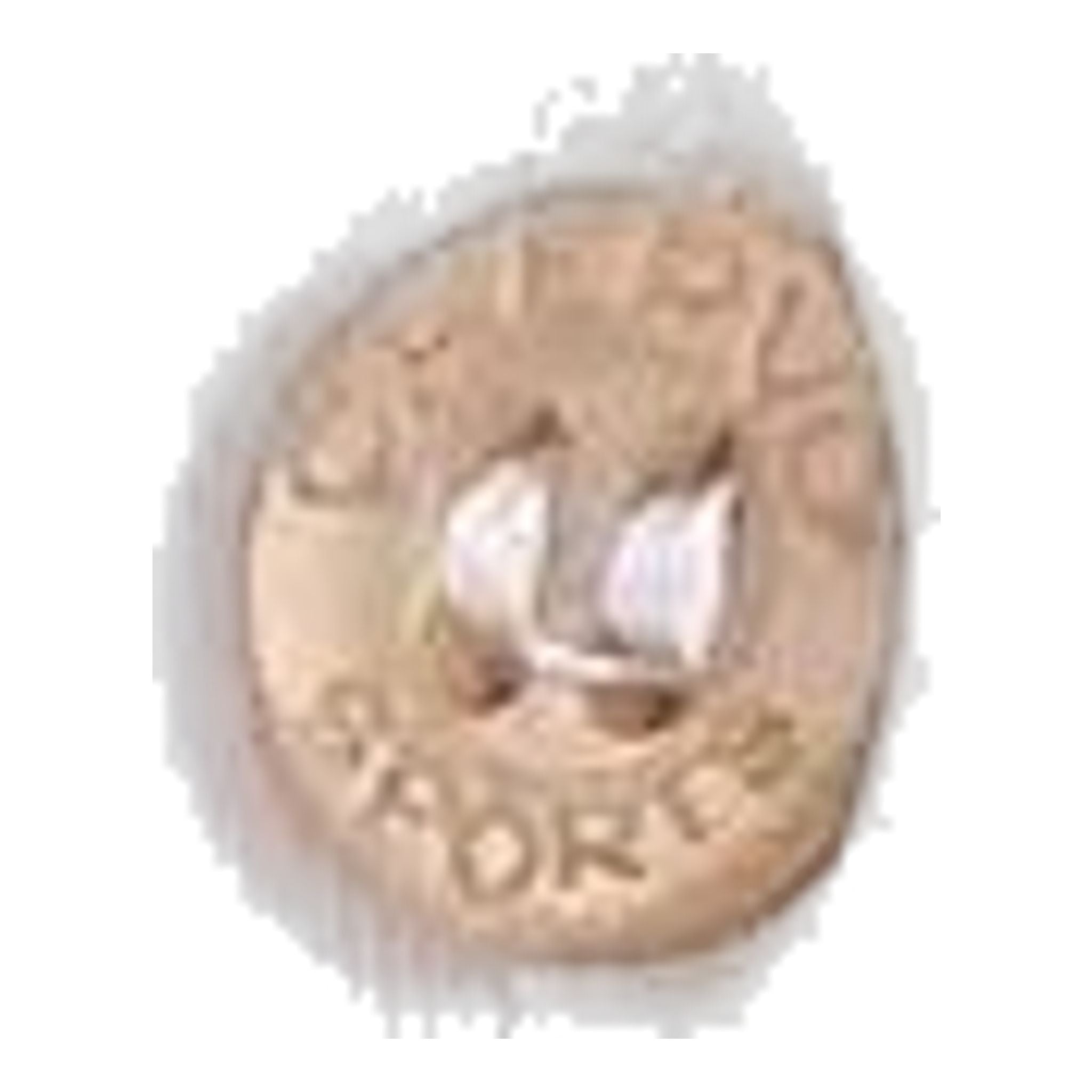 Chervo Apolide Poloshirt Damen