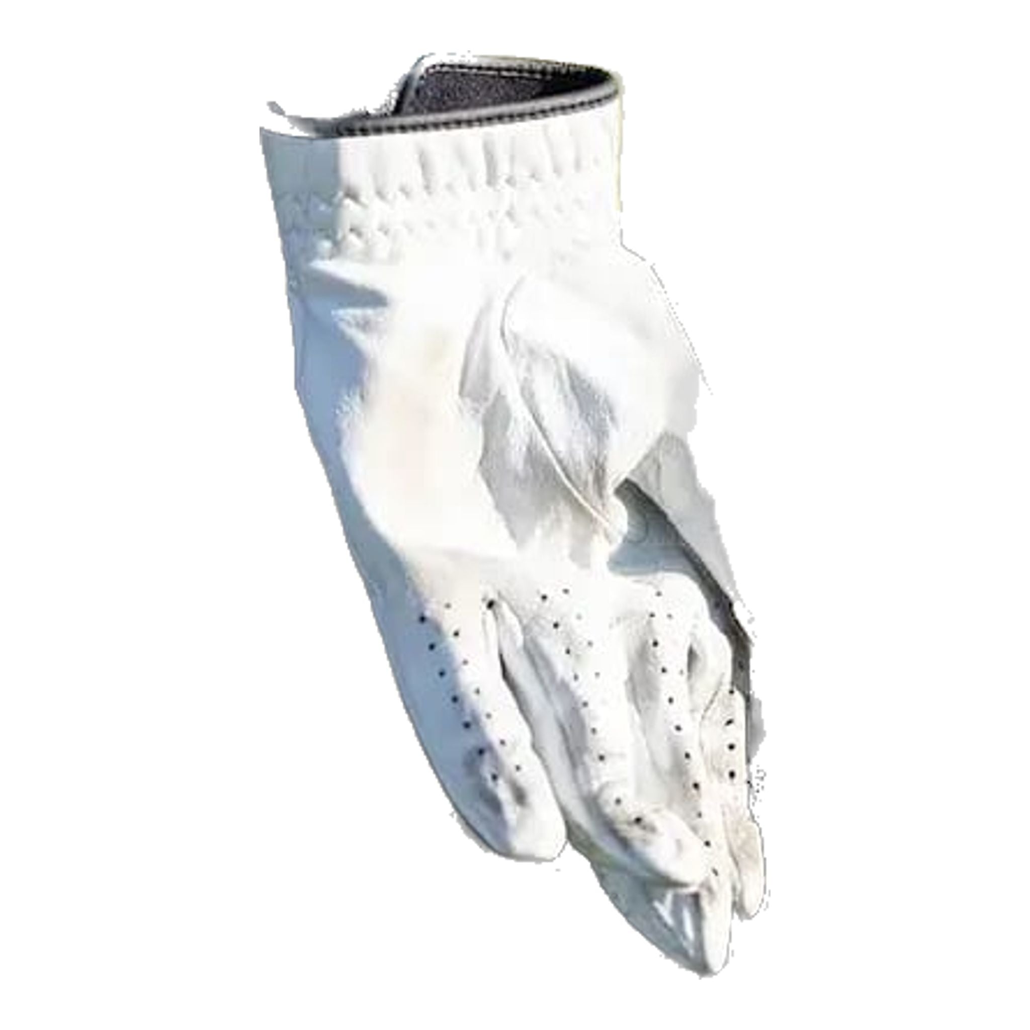 Ping Hooferlite 231 Golfbag