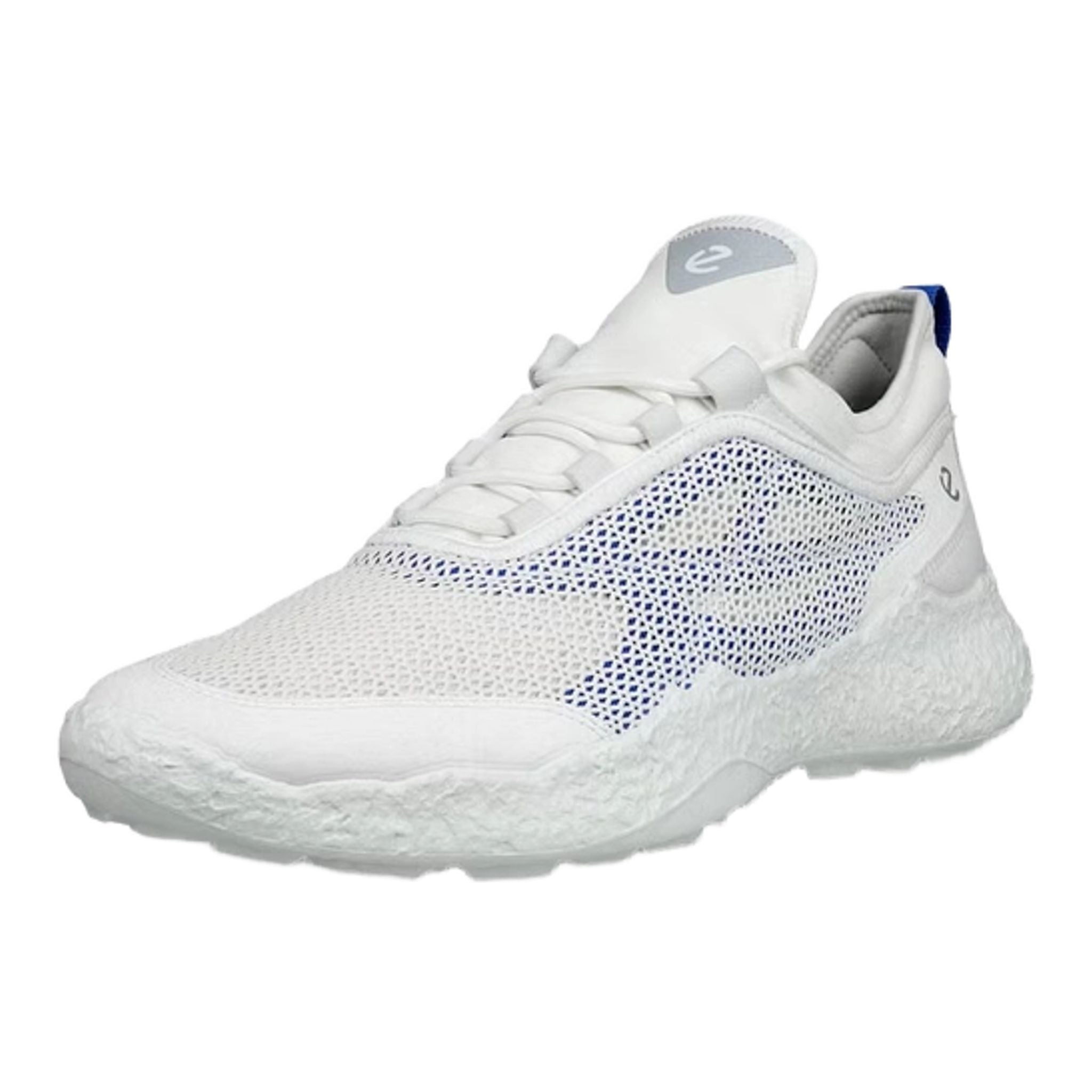 Ecco BIOM H5 Golfschuhe Herren