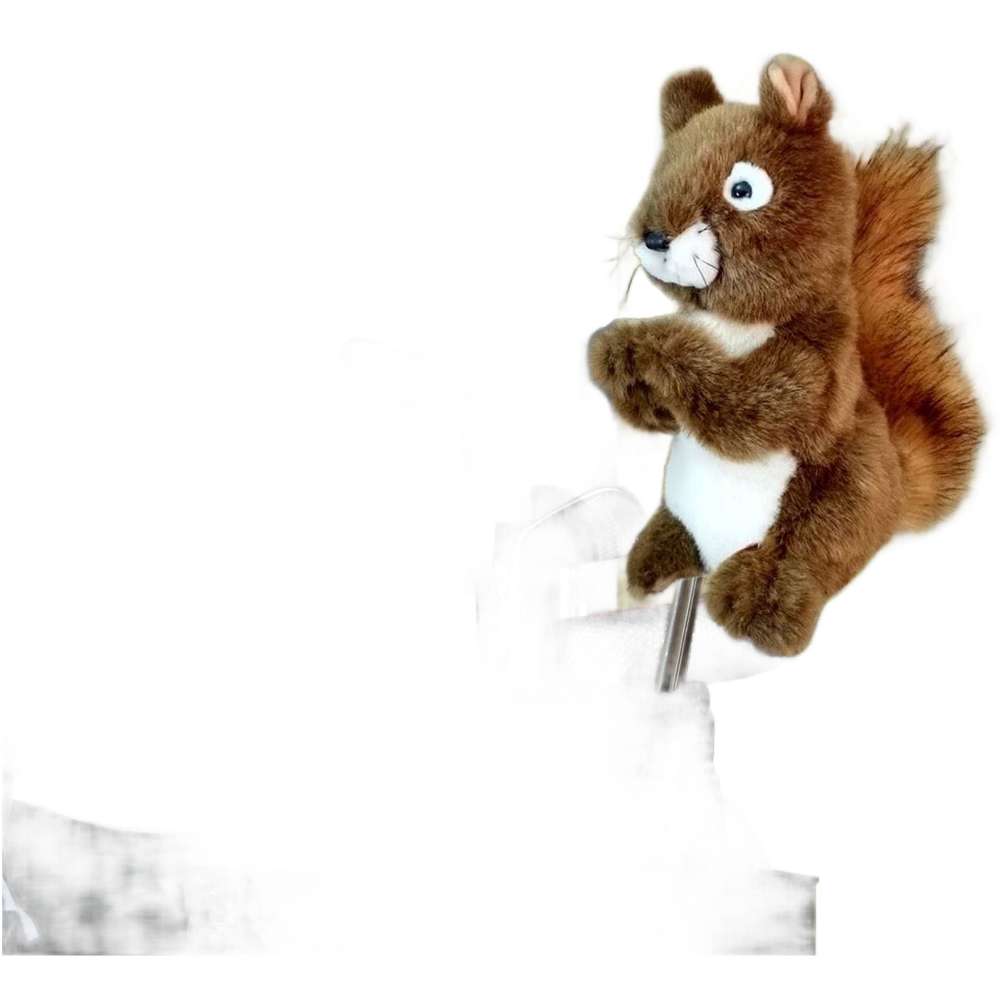 Daphne Eichhörnchen Driver Headcover