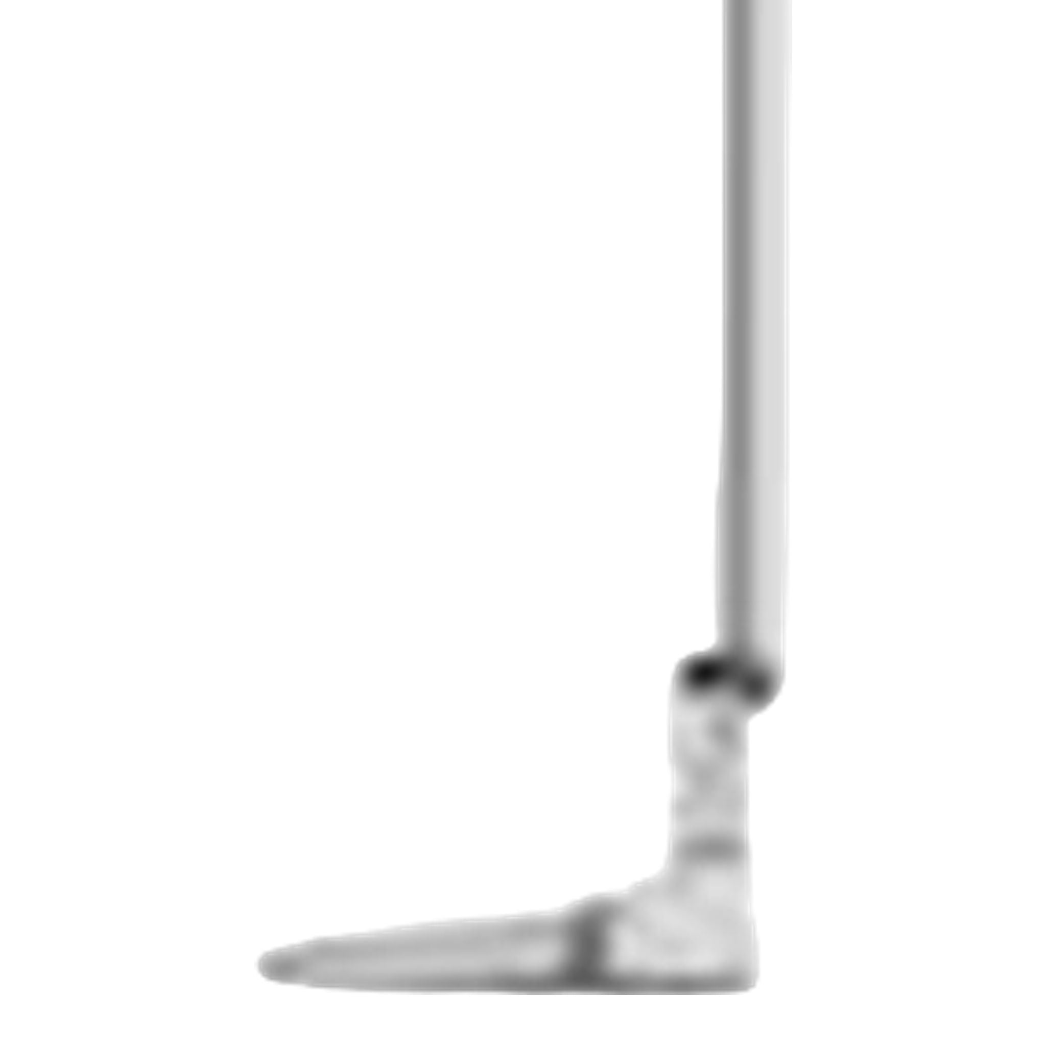 TaylorMade Bandon TM2 Putter