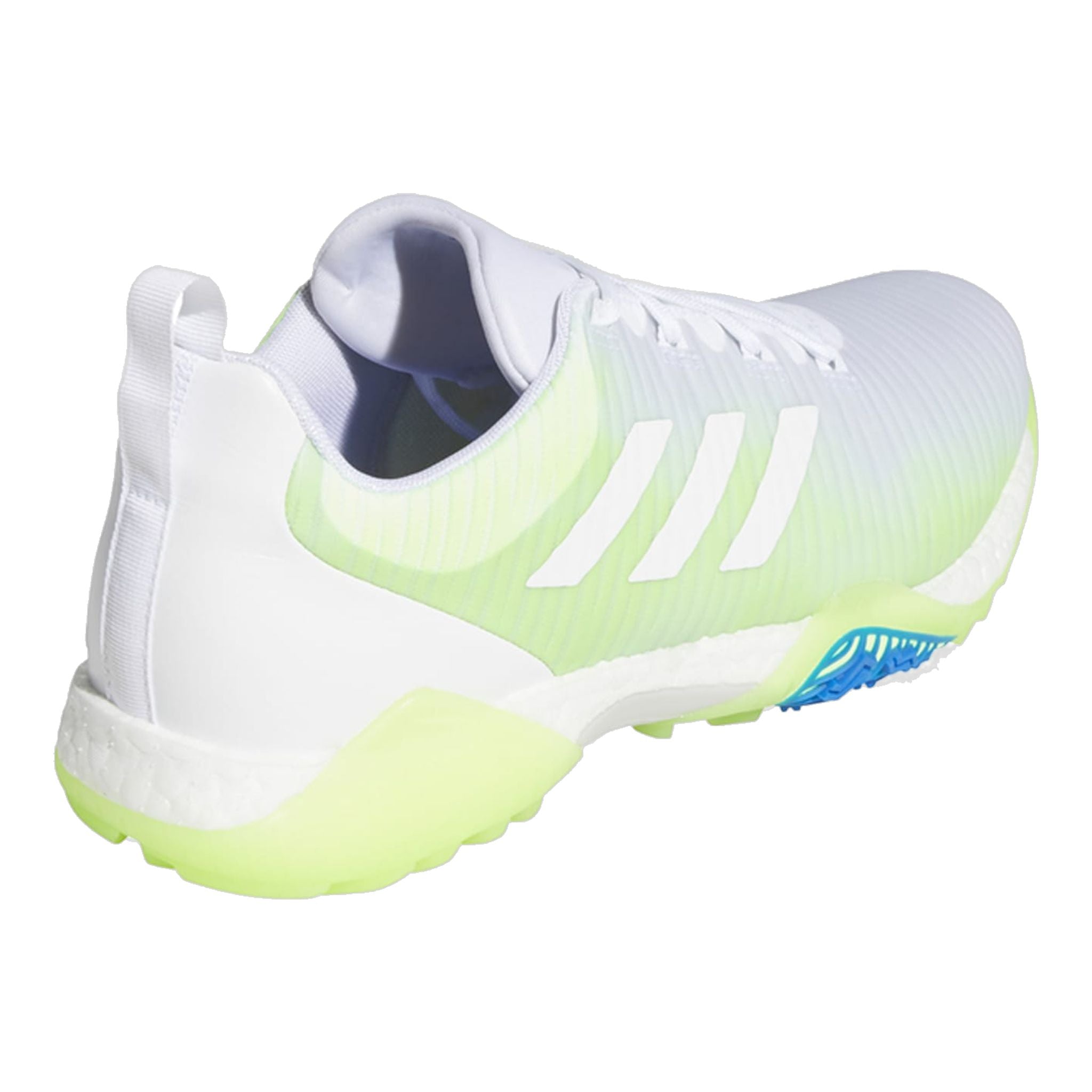 Adidas Codechaos Golfschuhe Herren