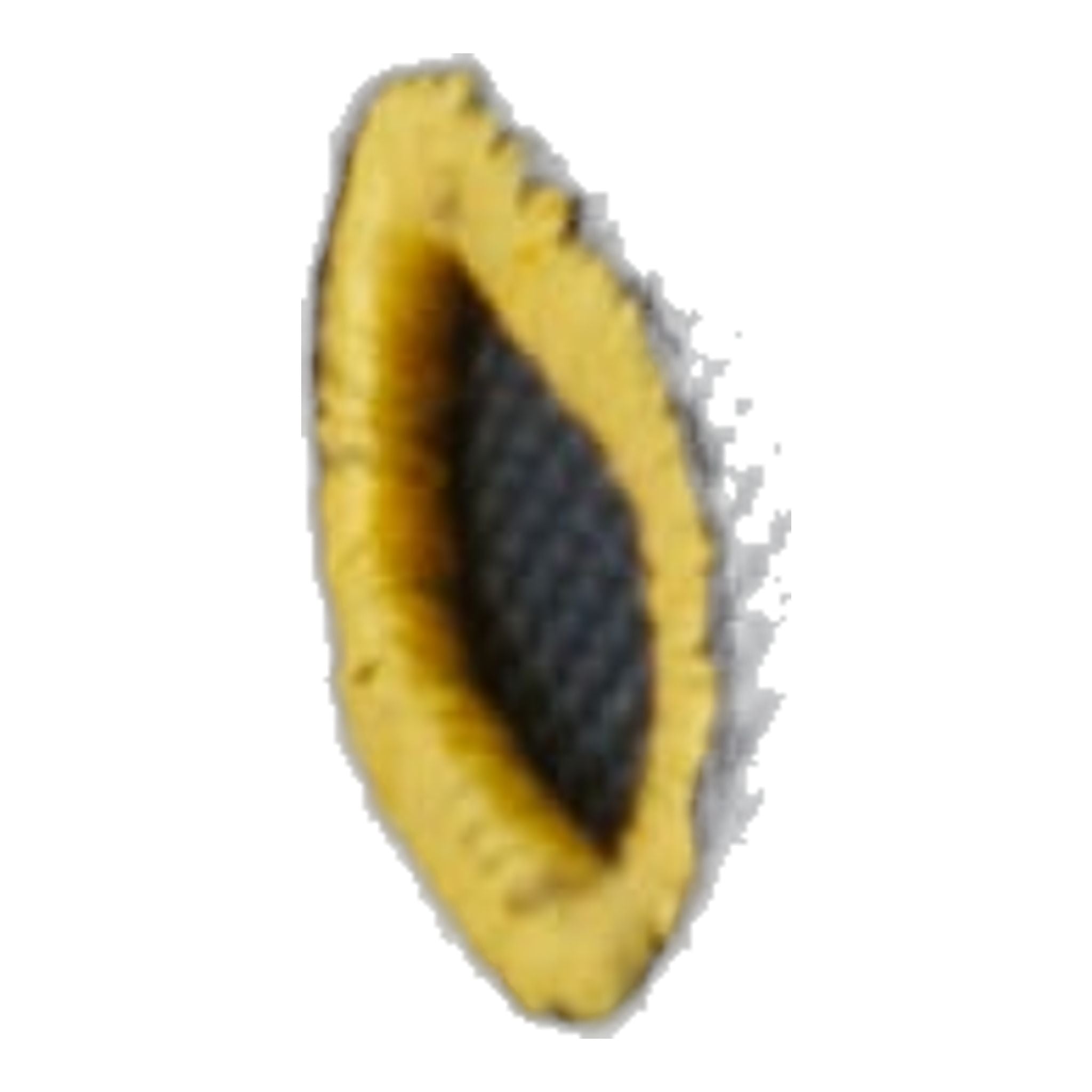 Titleist Players Rucksack "The Open" Navy/Weiß