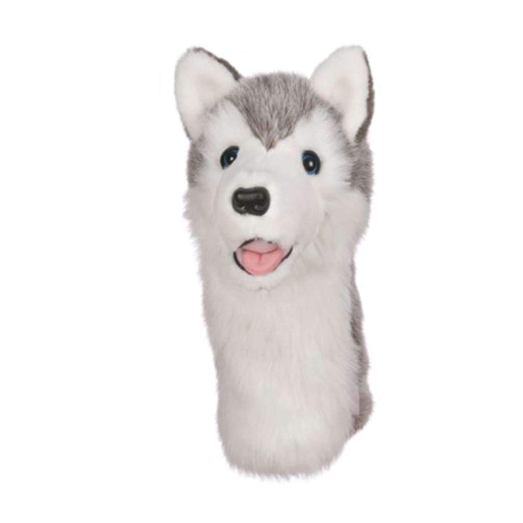 Daphne Driver Husky