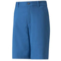 Puma Strech Short