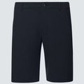 Oakley Take Pro 3,0 Shorts Herren